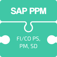 SAP Consulting